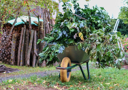 Herbstgrün: Fürsorge und Schönheit Ihres Gartens