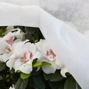 Telo Tessuto TNT Bianco 2,4x10 Metri - Leggero, Resistente e Impermeabile