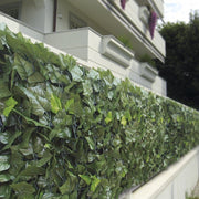 Al Evergreen Doppelblätter EDERA