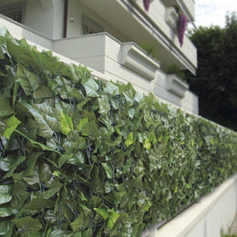 Al Evergreen Doppelblätter EDERA