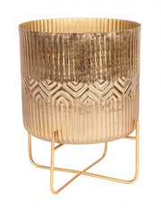 P.Vaso Chennai steht auf Gold H42