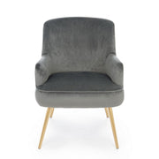 Clelia Grey Velvet Effekt grauer Sessel