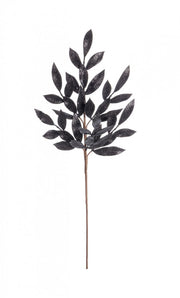 12x Nathan Black H70cm Branche