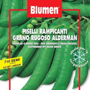 RAMMISIVE Erbsensamen Gran Rugoso -Alderm im Umschlag