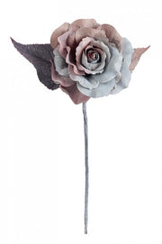 12x Pink Pink Blue/Braun Coline