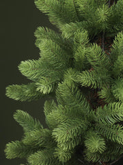 Mount Tree Amiata Slim Verde Cmø31h180 mit 524 Ästen