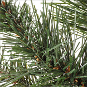 Wählen Sie Cansiglio H45