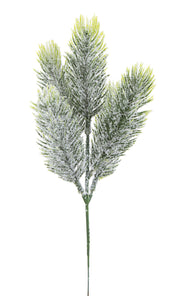 Horngrün H20CM Green Pick Lauryn