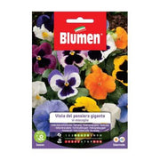 Blumen Riesen denkt Samen