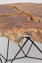 Vintage Metall und Adanya Holztisch