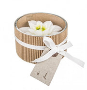 12x Candela White Christmas Star C.