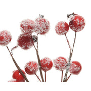 Outdoor Hook Ghirl. Bacche x