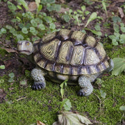 Turtle Statue Garden