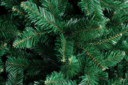 Nielsen H240-1896Rami Tree