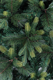 Baum Tauri H180-836Rami