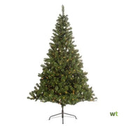 Weihnachtsbaum -LED Pine Imperial 500L H210 D137