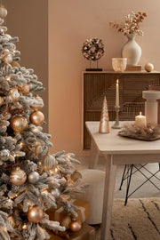 2x Corona Alara Stand Pointers Champ H39