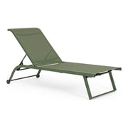 Latein mit Taylor -Kräuterrädern