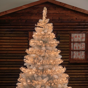 Minicluster Ø6CM XNTL 720 LED traditionelle 4+14,9 m Weihnachtslichter