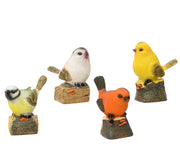 4 -Color Polirsina Vogel