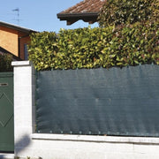 Schattenkraftgrünblatt 1x 25 Meter