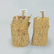 Schach mit Hülsenfischdekoration für Krippenszene H6 cm