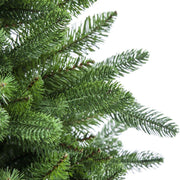 Grüner Ararat Tree Cmø157H240 mit 2582 Rames
