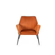 Samt Sessel 70x71.5x79 cm