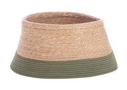 4x CopyBase Canes Asher to Green S