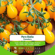 Tomatensamen Birne gelb im Umschlag