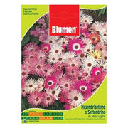 Beutel mit Samen von monatymbriantemo oder settembrino in der Mischung