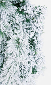 4x Corona Cermis geblaser Tanz D80