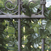 Al Evergreen Doppelblätter EDERA