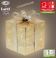 VPM Champ -Geschenkpack. 3aa 20x20xh25cm Weihnachtslichter