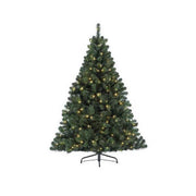 Weihnachtsbaum -LED -Innenraum - Imperial Pino 180 cm