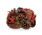 6x P.Candela 1p lilibeth bis rot