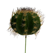 Grüner Kaktuszweig Cmø25H17-30
