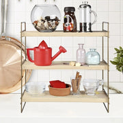 Hobbyregal 3 Regale 40x13x40 Bronze ASZ1572