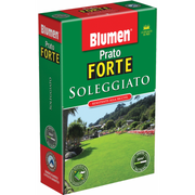 1 kg sonnige Wiesensamen.