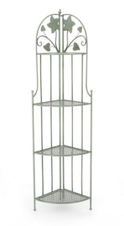 4p Harriet Salvia Angolier