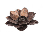 6x P. Candela Dustin Fiore Marrone S