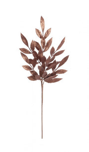 12x Ramo Nathan Marrone H70CM