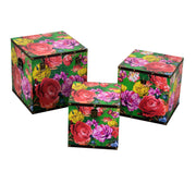 1-3 Multicolor-Bilderbox für CM30.5x30.5H30.5