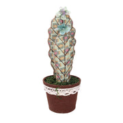Cactus Tondo Green Fabric Cmø13H35