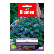 Myosotis Alpestris -Samen oder nicht vergessen Sie mich blau Umschlag
