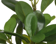 Plastikanlage mit 25x25x35H CM -Topf