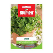 Blumen gemeinsame Petersiliensamen