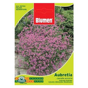 Beutel mit Samen von Aubretia Azzurra Wasserfall