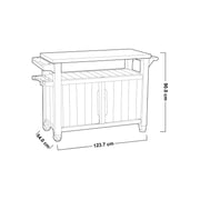 Harztisch für Grill 2 Graphit -Farbtüren 123.7x54xh.90H CM