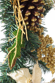 4x Boa Kyle Poorinthian Champagner H180